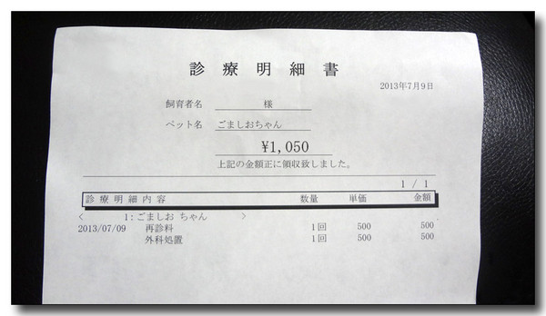 20130721221518.JPG