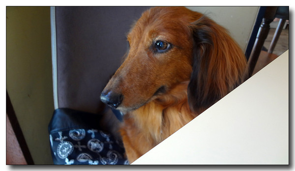 20130722141524.JPG
