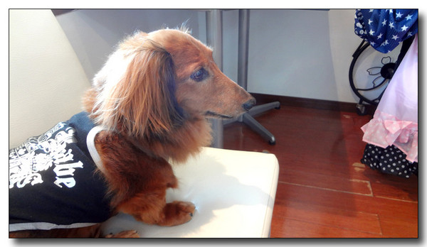 20130722143356.JPG