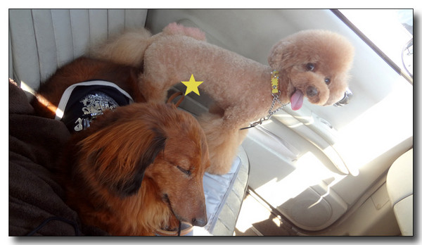 20130722143359.JPG