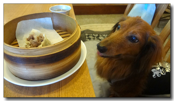 20130722194408.JPG