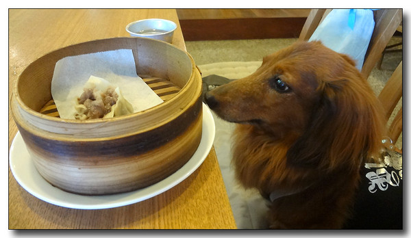 20130722194409.JPG