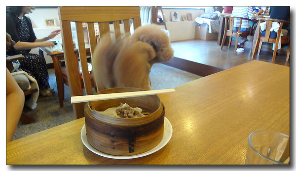 20130722194411.JPG