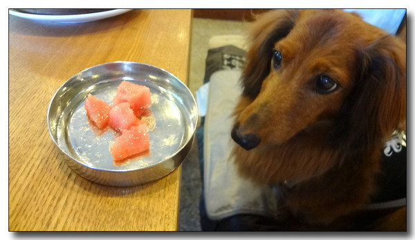 20130722194435.JPG