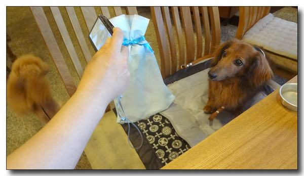 20130722194437.JPG