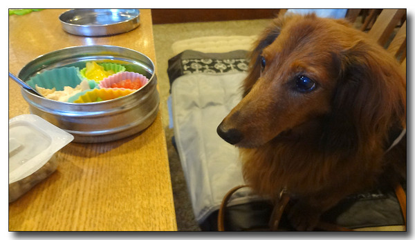 20130722194439.JPG
