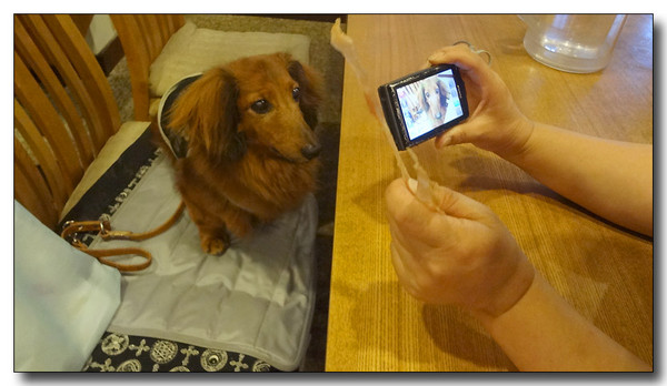 20130722194839.JPG