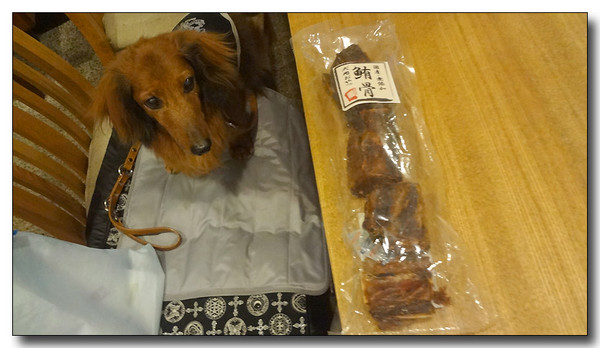 20130722194855.JPG
