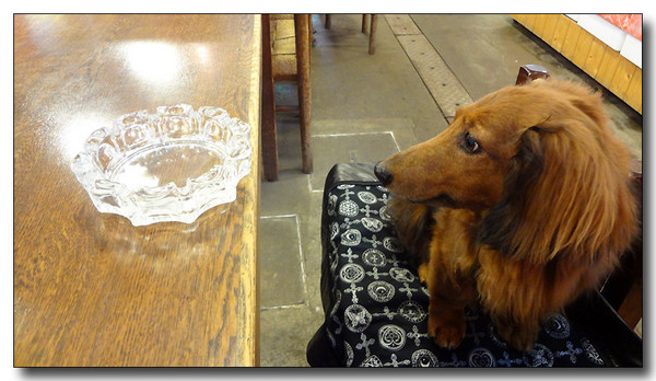 20130725100432.JPG