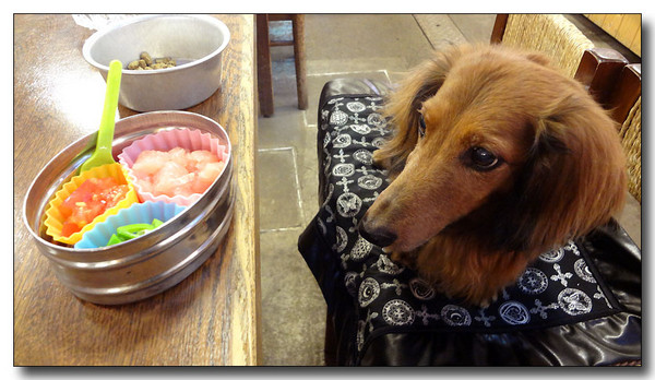 20130725100458.JPG