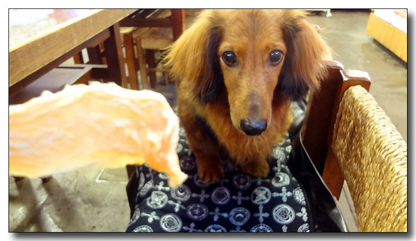 20130725100459.JPG