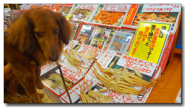 20130725100518.JPG