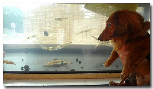20130725100519.JPG