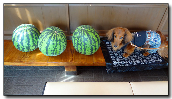 20130725100521.JPG