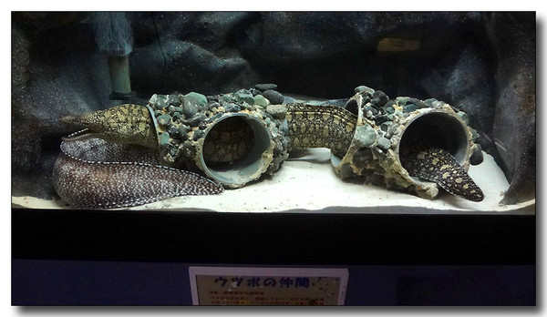 20130727104456.JPG