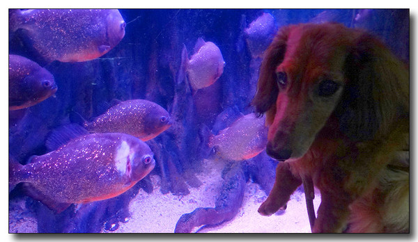 20130727104522.JPG
