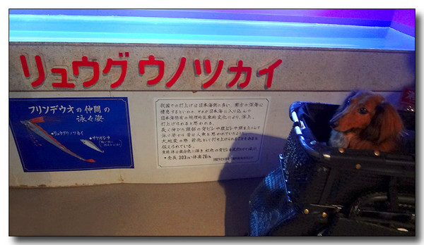 20130727104523.JPG