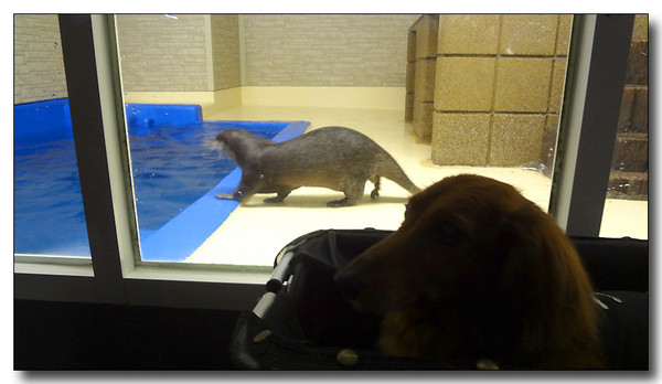 20130727105134.JPG