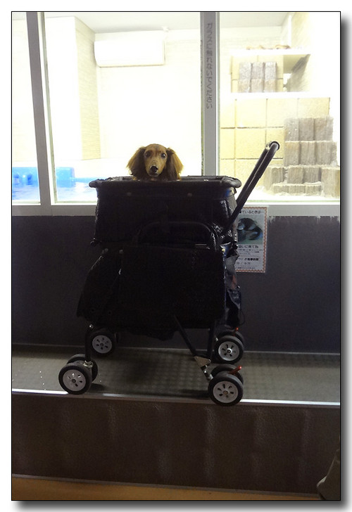 20130727105155.JPG