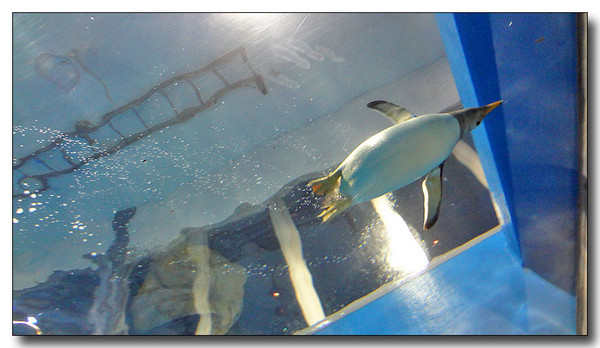 20130727105416.JPG