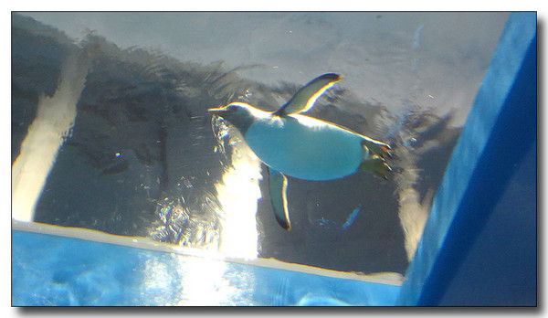 20130727105418.JPG