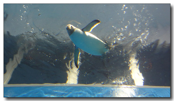 20130727105444.JPG