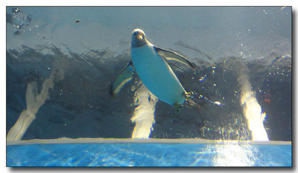 20130727105445.JPG