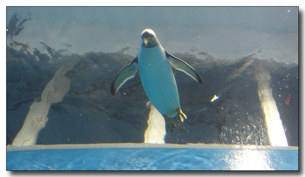 20130727105446.JPG