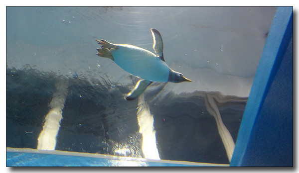 20130727105448.JPG