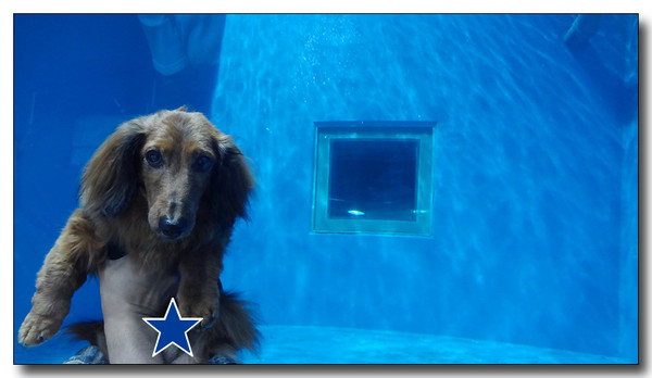 20130727105517.JPG