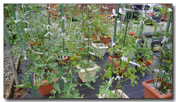 20130731145616.JPG
