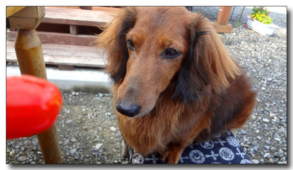 20130731145619.JPG
