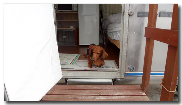 20130731145729.JPG
