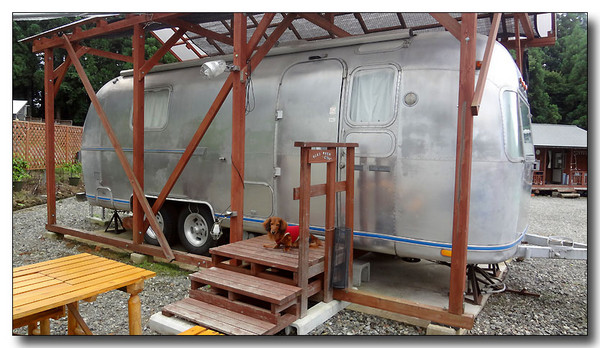 20130731145731.JPG