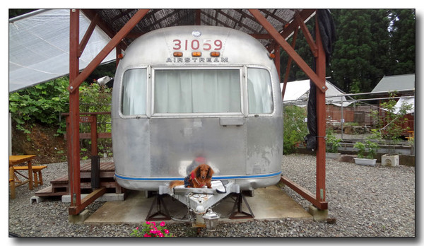 20130731145733.JPG