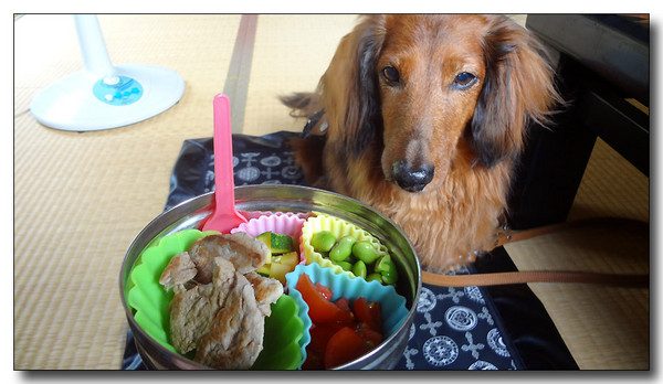 20130731185314.JPG