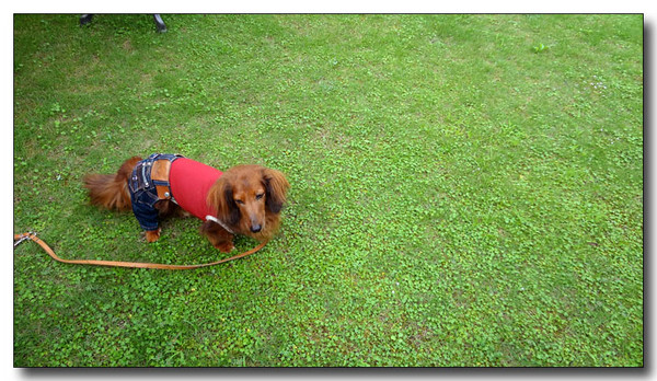 20130731185413.JPG