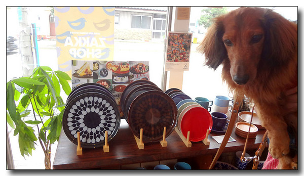 20130801204855.JPG
