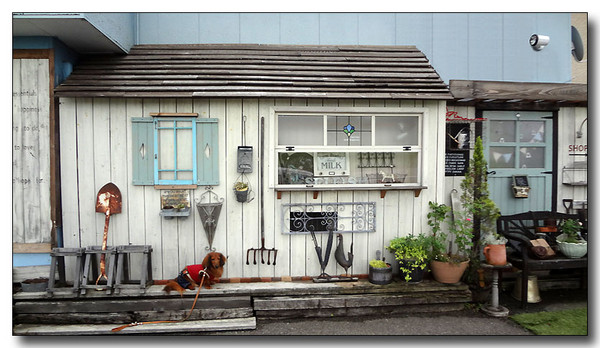 20130804090844.JPG