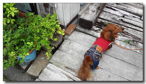 20130804090845.JPG