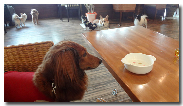 20130804102148.JPG
