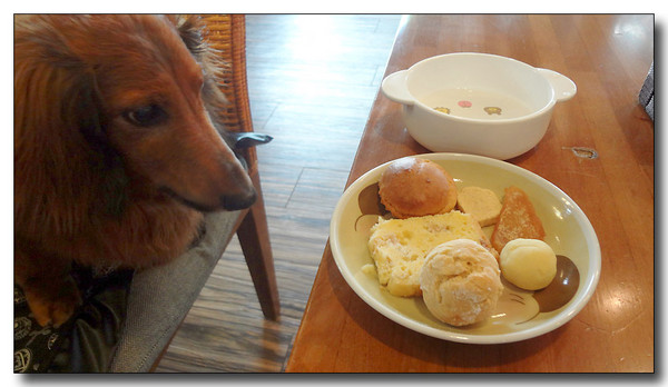 20130804102149.JPG