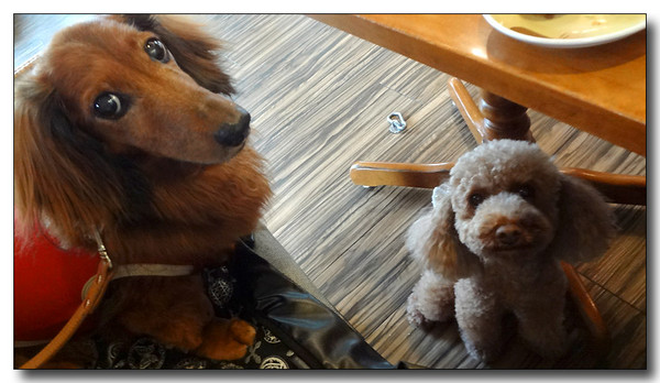 20130804102219.JPG
