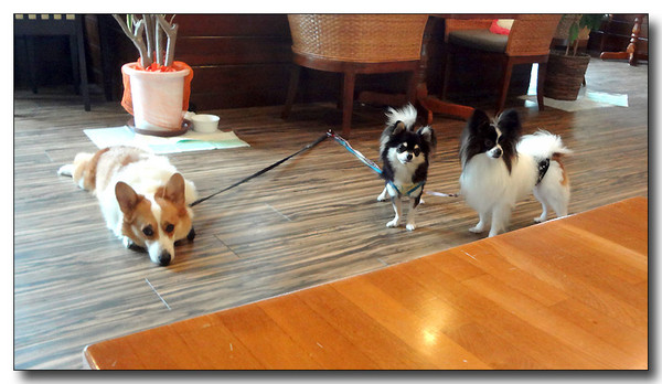 20130804102220.JPG
