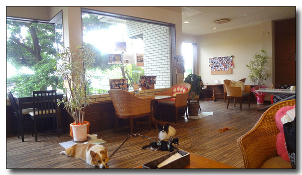 20130804102222.JPG