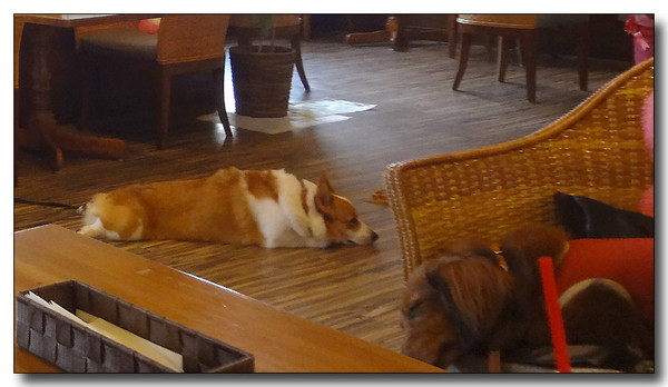 20130804102224.JPG