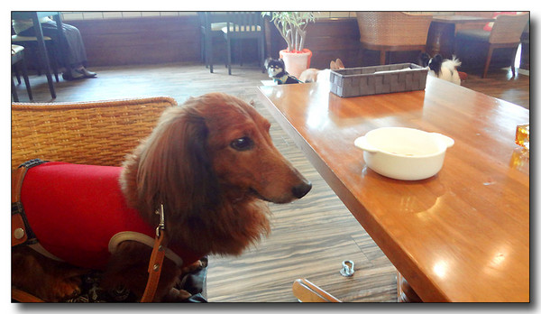 20130804104457.JPG