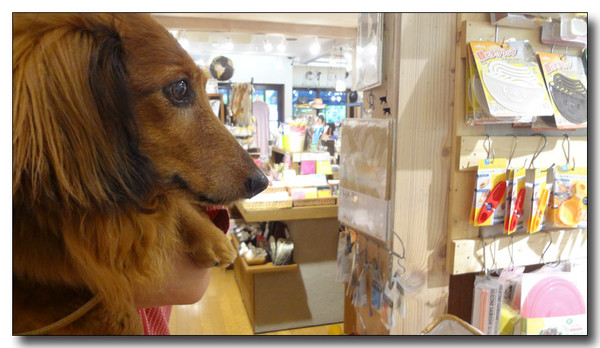 20130805113939.JPG