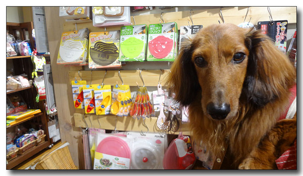 20130805113941.JPG