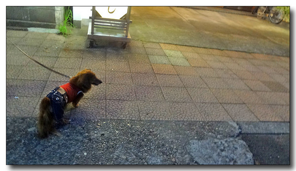 20130805150620.JPG